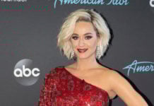 HEARTLESS?: Pop star Katy Perry sues dying, disabled 85-year-old veteran over property dispute