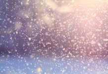 COLD TACTICS: Trump sends envoy to revive Greenland acquisition discussions